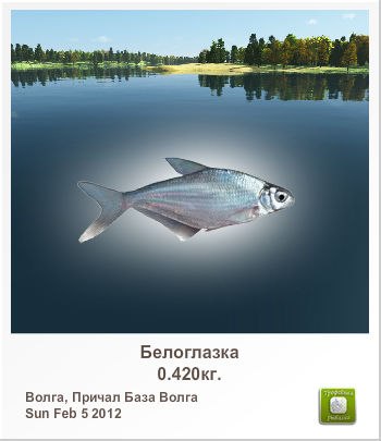 Лёха Сеньковский _zaria | Молодечно