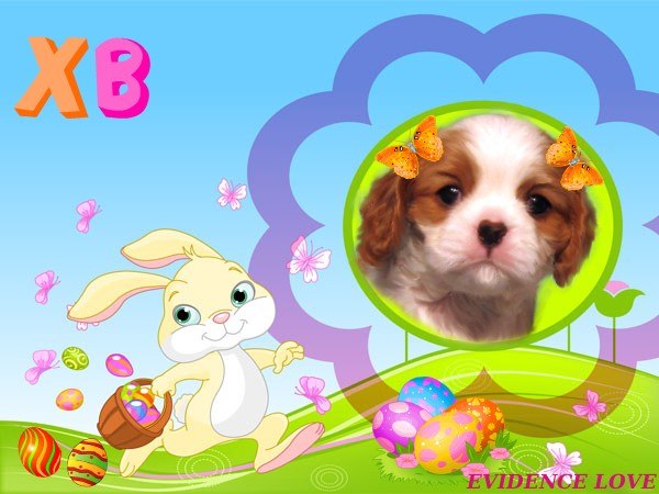 №183, Наталия Шергина, Санкт-Петербург №183, Наталия Шергина, Санкт-Петербург