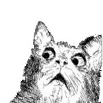 Влад Артемьев | Санкт-Петербург