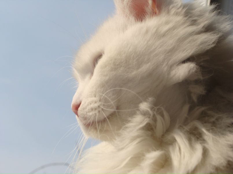 Борислав Борисенко | Киев