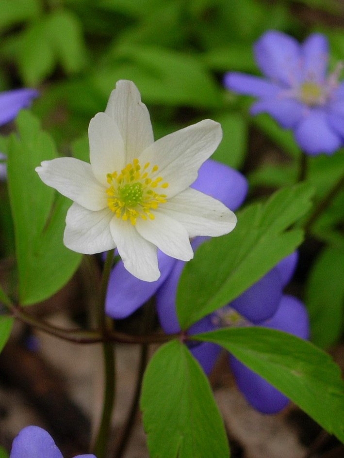 Даша Кончакова | Минск
