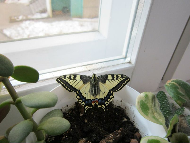 №128, Анастасия Валентюкевич, Минск №128, Анастасия Валентюкевич, Минск