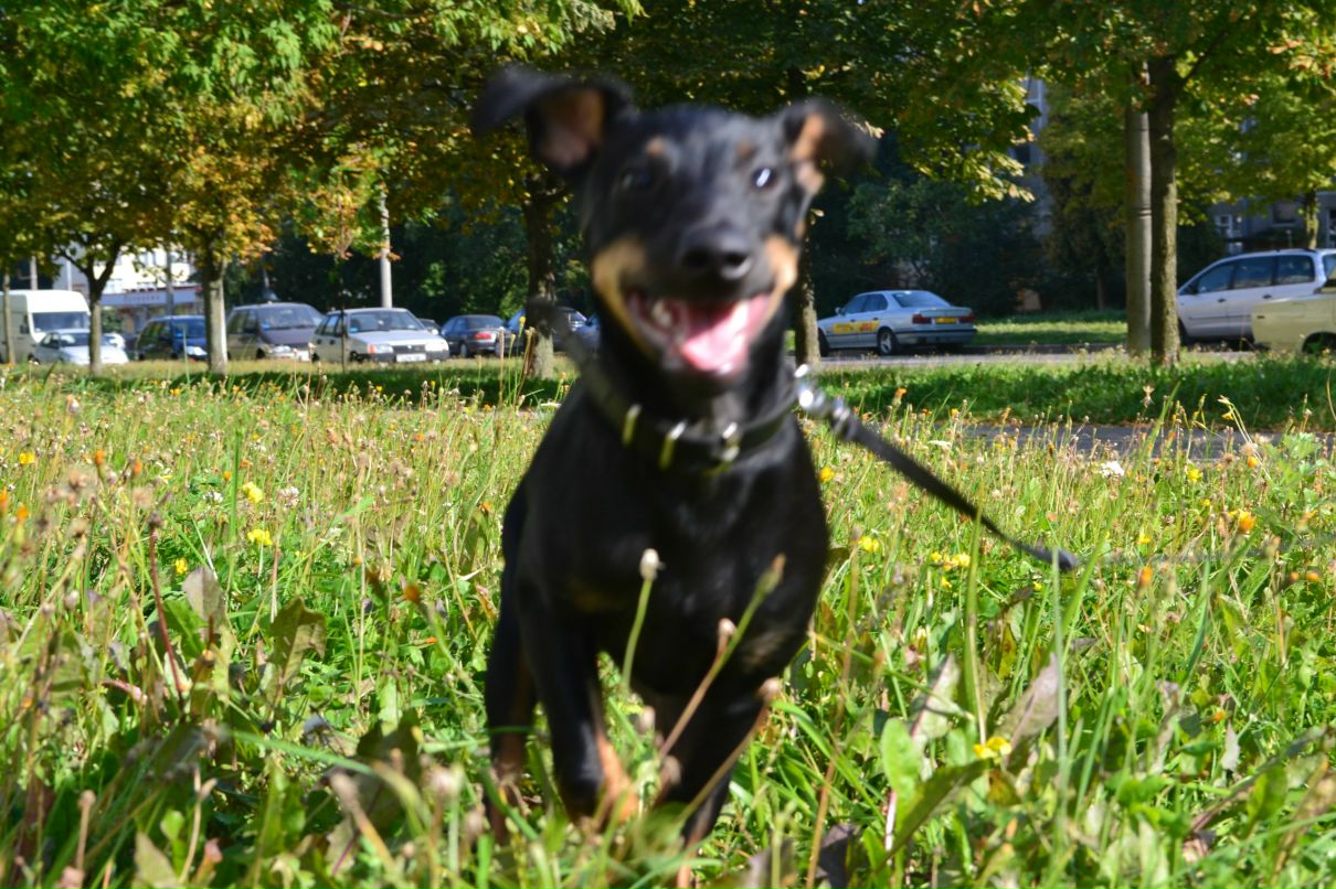 Tris Treymak | Минск