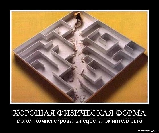 №20, Андрей Колядинский, Москва №20, Андрей Колядинский, Москва