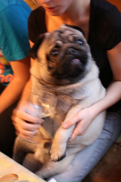 №158, Виктория Дымкова, 35 лет, Санкт-Петербург, Россия №158, Виктория Дымкова, 35 лет, Санкт-Петербург, Россия