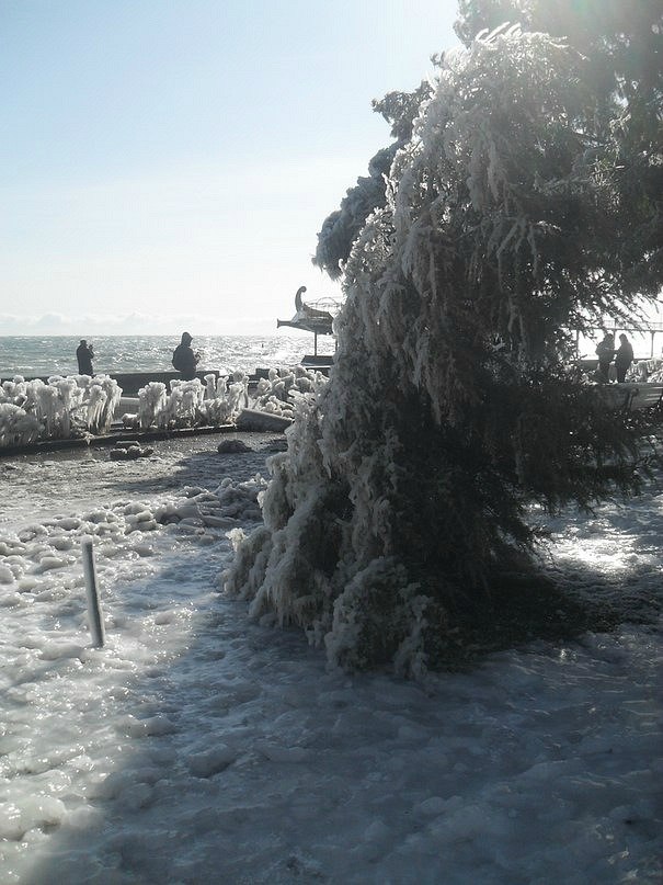 Анастасия Вергун | 