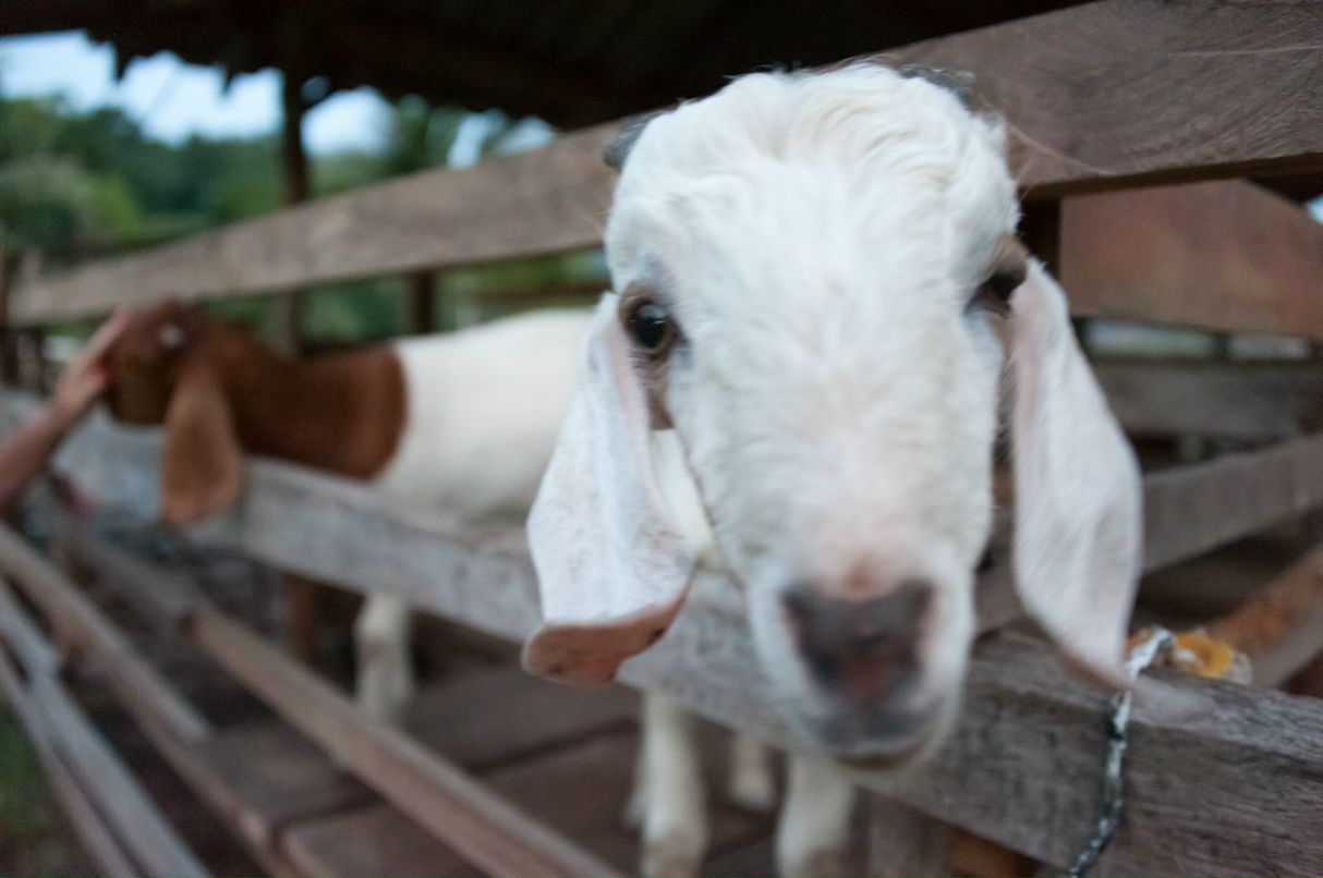 Павел Воробьев | Москва