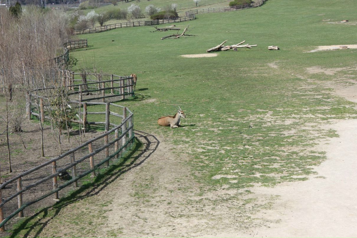 Кирилл Смирнов | Санкт-Петербург