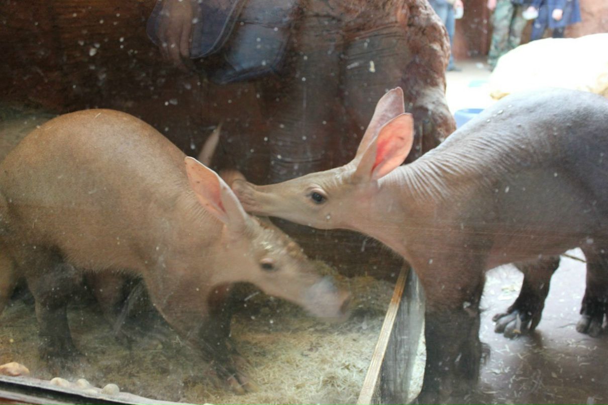 Кирилл Смирнов | Санкт-Петербург