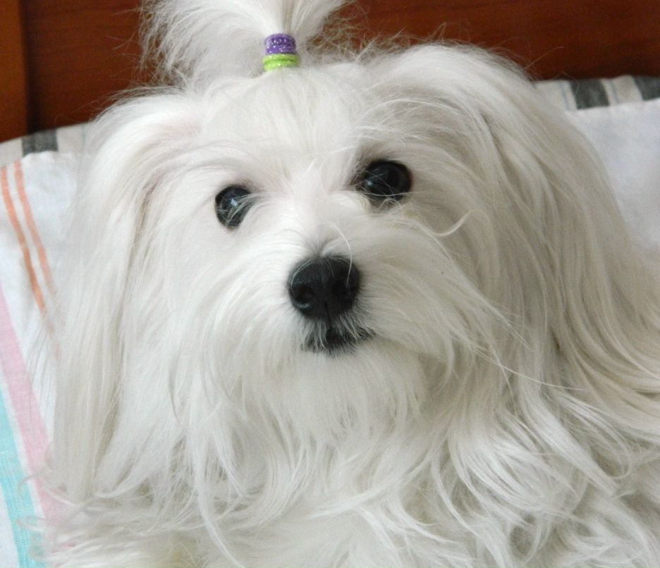 Галина Камышева ♥♥♥ | Кемерово