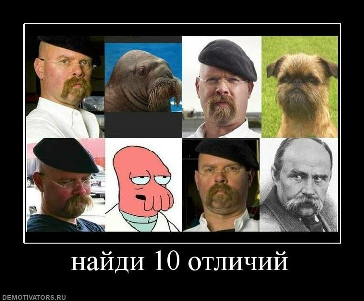 №15, Елена Фролова, Килия №15, Елена Фролова, Килия