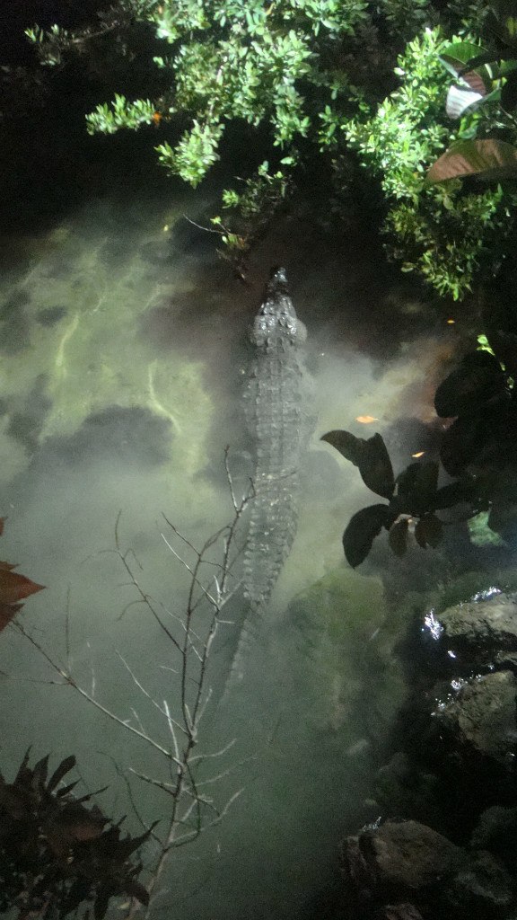 Георгий Полухин | Санкт-Петербург