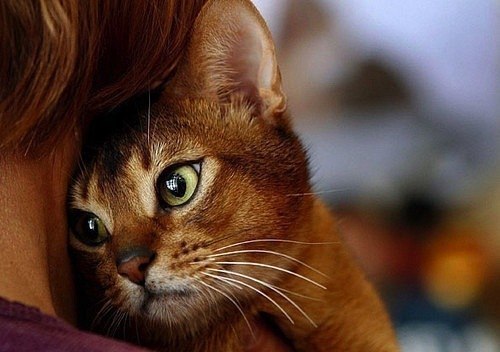 Дениска Бондарев RecOn | Железногорск