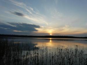 Дмитрий Воробьев | Санкт-Петербург