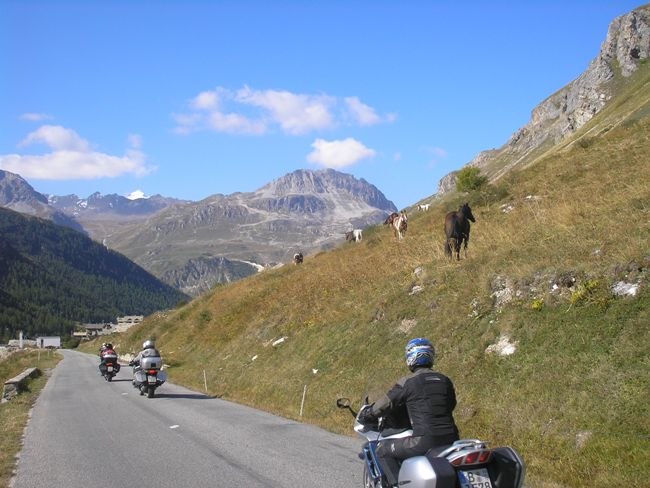 Shaps Shaps (мото) | Полтава