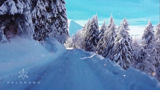 Palaraga - The Winter |