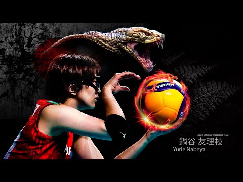 Cobra Style by Yurie Nabeya ( 鍋谷 友理枝 ) Best Volleyball Actions
