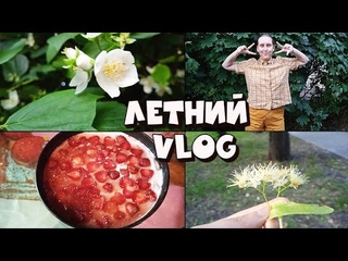 ЛЕТНИЙ  VLOG/ ГОТОВИМ ЧИЗКЕЙК/ ОТДЫХАЕМ