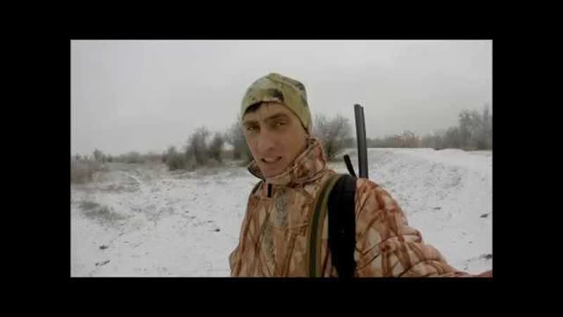 Охота на зайсоф