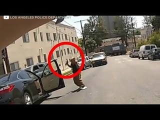 Погоня в Лос-Анджелесе которая закончилась стрельбой / police chase with shoot
