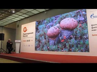 . Владимир Коваль, Путорана  моя суровая и прекрасная экзопланета, часть-2