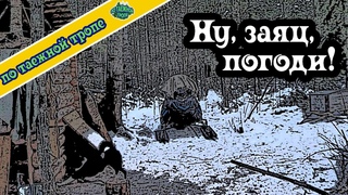 Охота. Жизнь в тайге. Зайцы табунами. По таежной тропе.