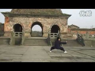 WuDang Long Hua Quan  .flv