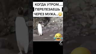 Тик ток,  когда утром перелезаешь через мужа