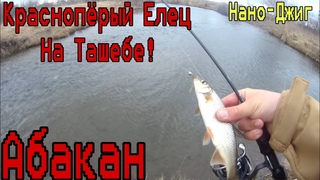 Крупный Краснопёрый Елец загибает спининг в потоке! рыбалка Нано-Джигом на реке Ташеба. город Абакан