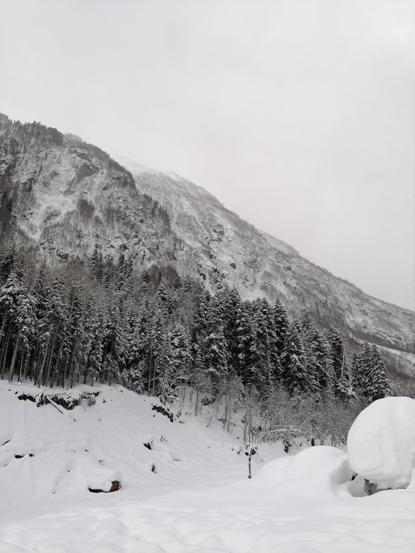 Юлия Тимошина | Курск