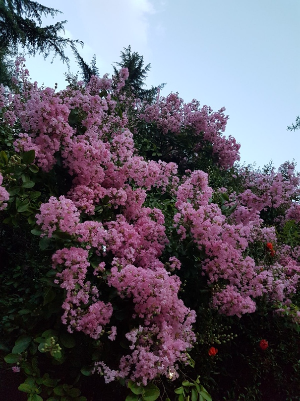 Юлия Чумак | Казань