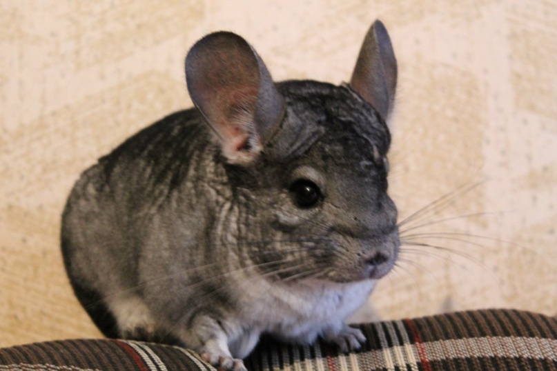 Екатерина Ковалёва | Калуга