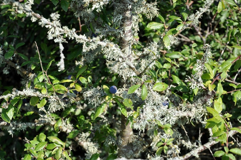 Денис Александров | Ростов-на-Дону