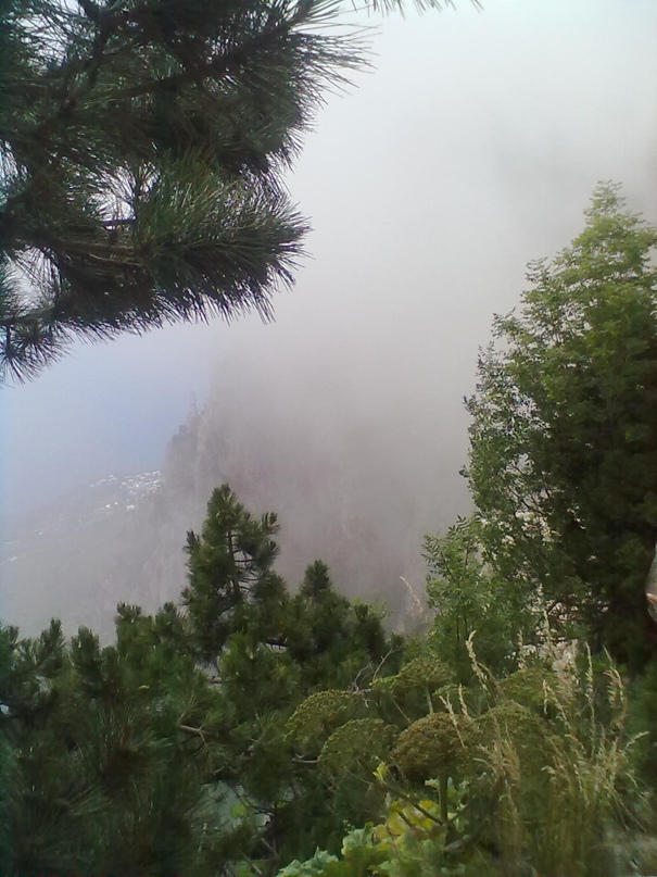 Дмитрий Горохов | Курган