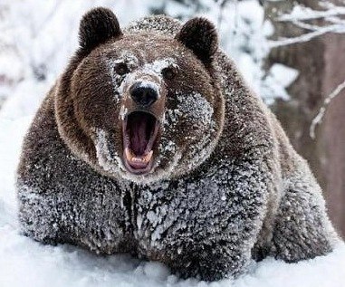Михаил Грибов | Волово (поселок)