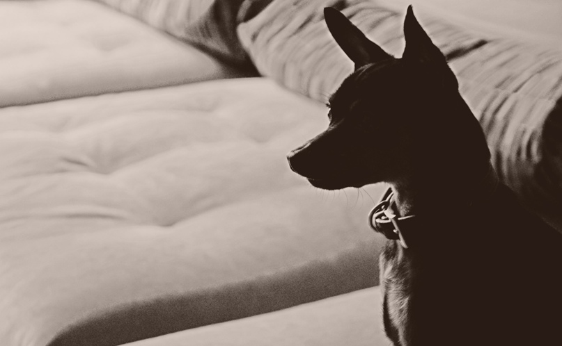 Дарья Жернакова |