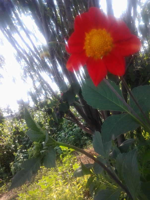 Татьяна Шичкина Борисовна | Красноярск