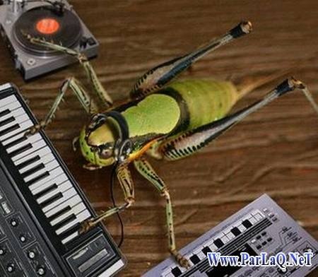 Дима Аверьянов | Тольятти