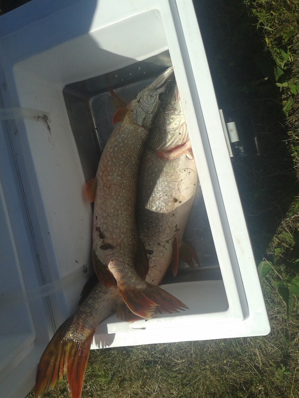 Рустем Муратов | Уфа