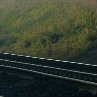 Анастасия Киселёва | Ульяновск