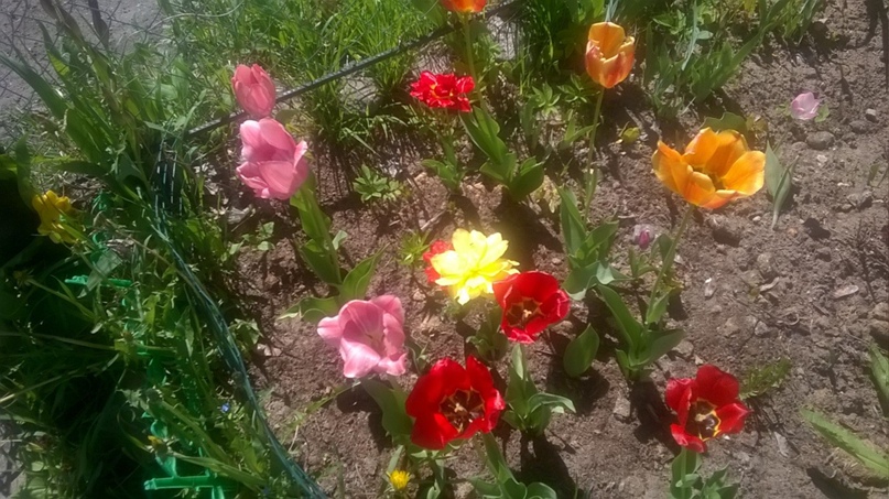 Светлана Фролова | Осташков