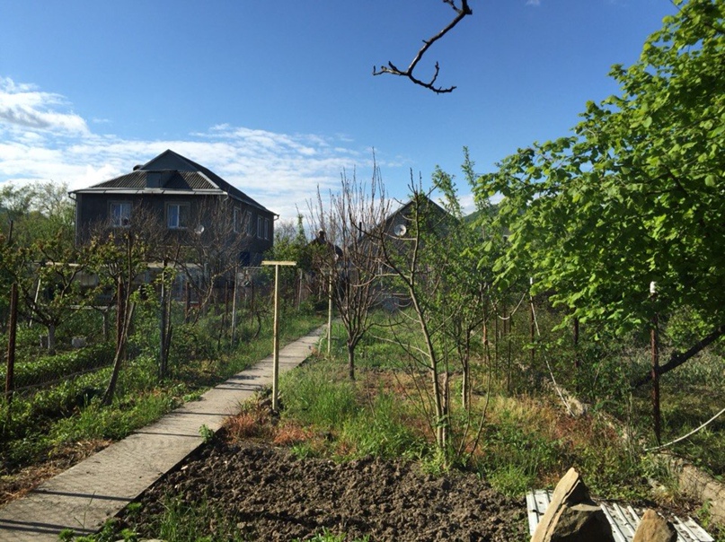 Михаил Покровский | Геленджик