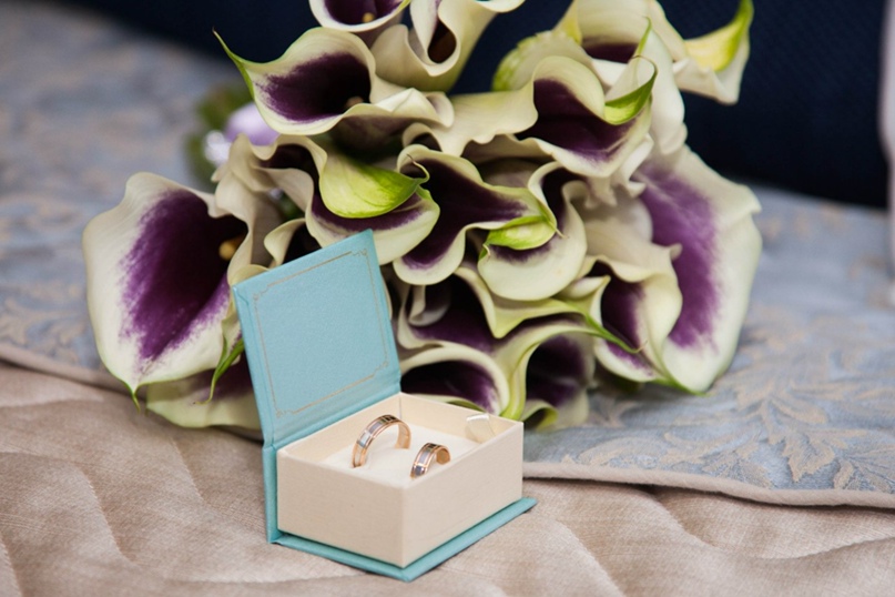 Елизавета Оспина | Москва