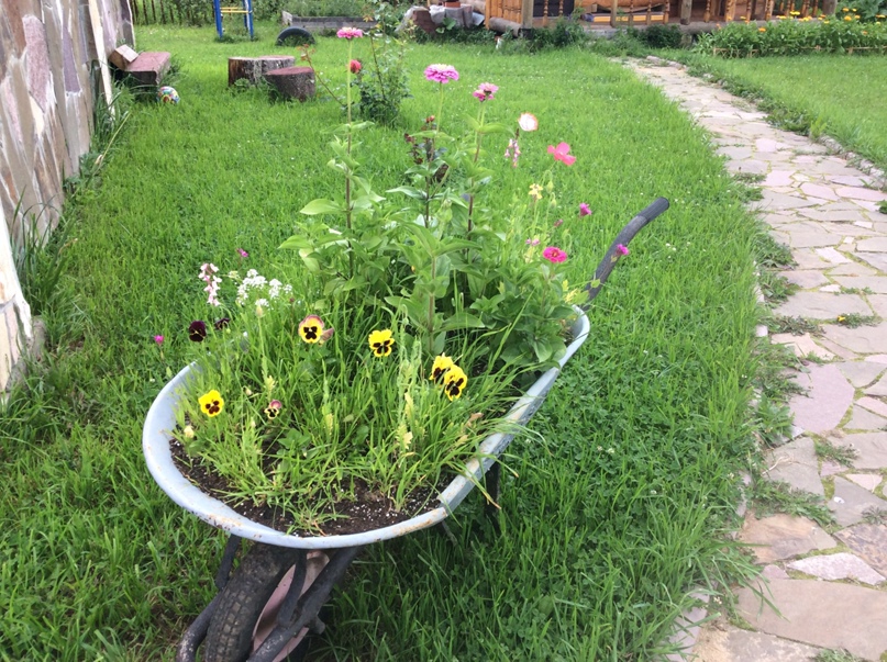 Марина Синельникова | Москва