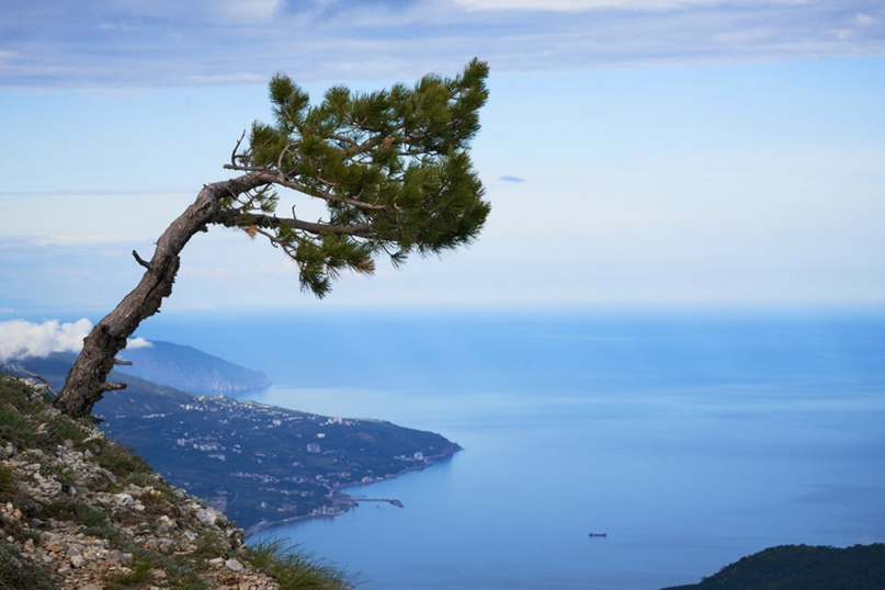 Святослав Зубарев | Сочи