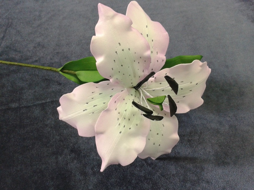 Надежда Шихова | Энгельс