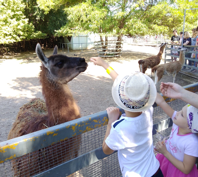 Галина Чернышова | Аксай