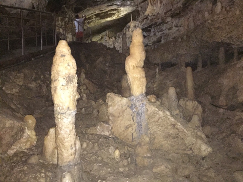 Николай Сидельников | Тамбов