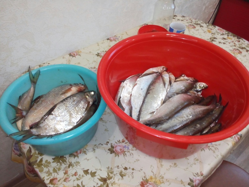 Дмитрий Алексеев | Чебоксары