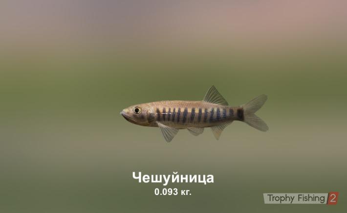 Георгий Соколов | Москва